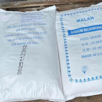 Sodium Bicarbonate (NaHCO₃ – Natri Bicarbonat / Baking Soda)