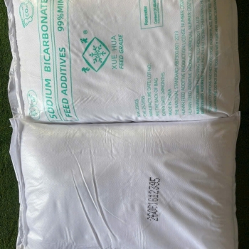 Sodium Bicarbonate (NaHCO₃ – Natri Bicarbonat / Baking Soda)